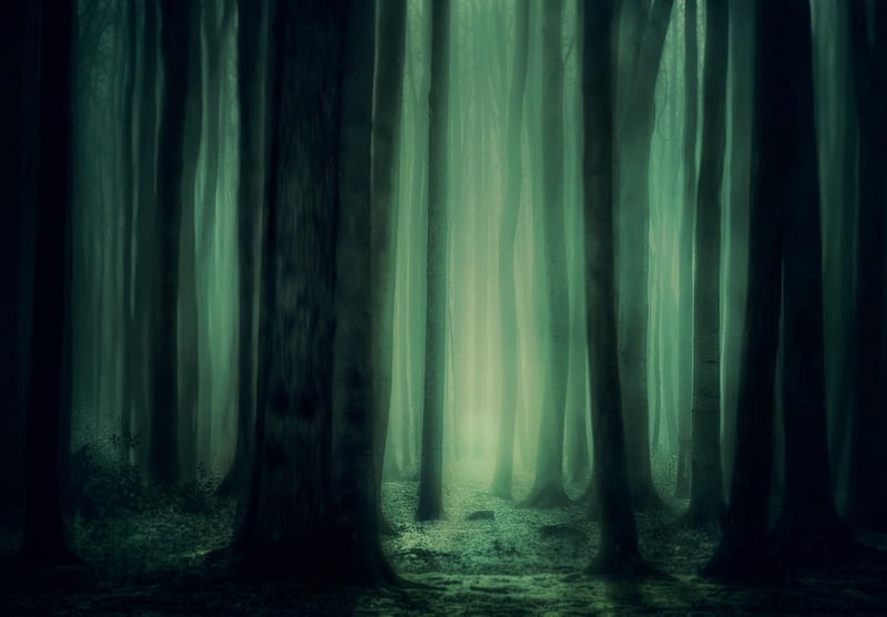 Mystical Woodland Atmosphere
